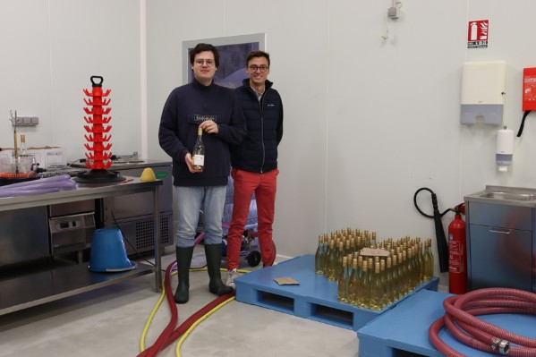 Ils ont lancé leur start-up de cuvées de vin de Loire sans alcool