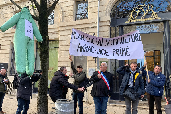 Les revendications de vignerons deviennent remises en question de l'interprofession à Bordeaux