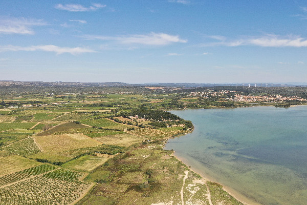 Fitou sortira de l'interprofession des vins du Languedoc