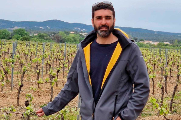  Une bactérie capte l'azote de l'air pour nourrir les vignes