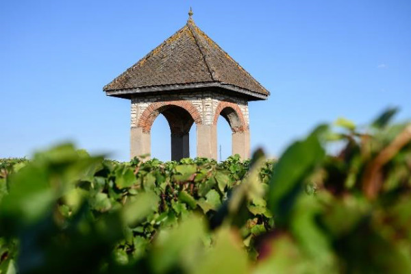 Bollinger élargit ses vins de Bourgogne avec le château d’Etroyes