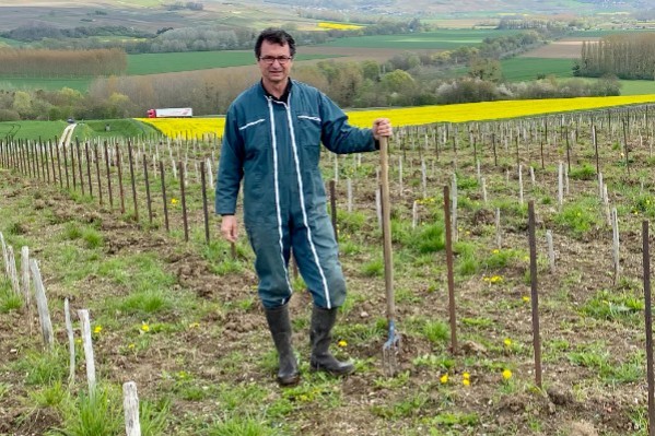 Premières plantations de vignes semi-larges en Champagne