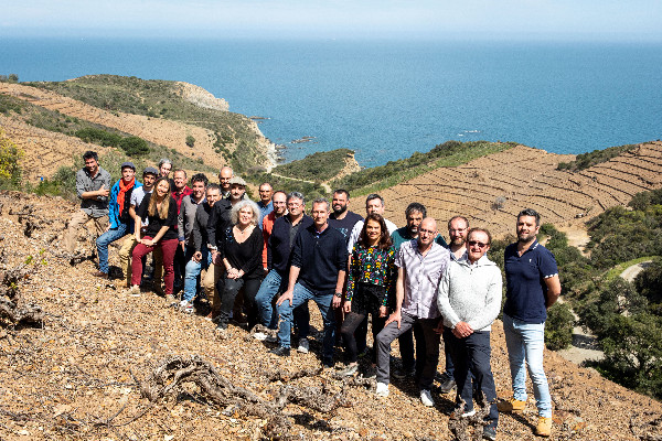 Le vignoble du Cru Collioure-Banyuls a un plan pour se relancer