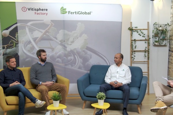 Et si la santé de la vigne passait par sa nutrition ?