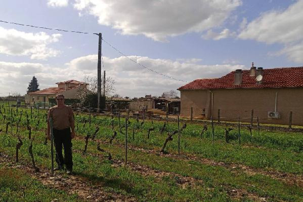  Des vignes reculent loin des habitations en raison des distances de sécurité vis-à-vis des riverains