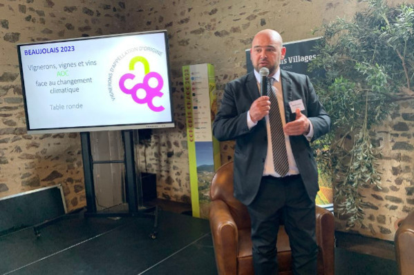 Les appellations viticoles se libèrent pour s’adapter au changement climatique