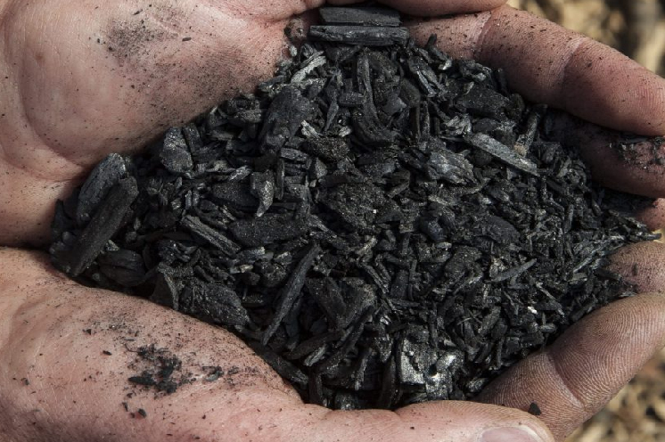 Le biochar, une solution pour retenir l’eau dans les sols et améliorer la pousse de la vigne