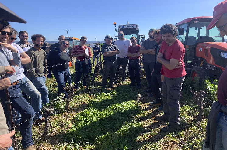 Rien que trois outils différents pour détruire les couverts chez ce vigneron héraultais !