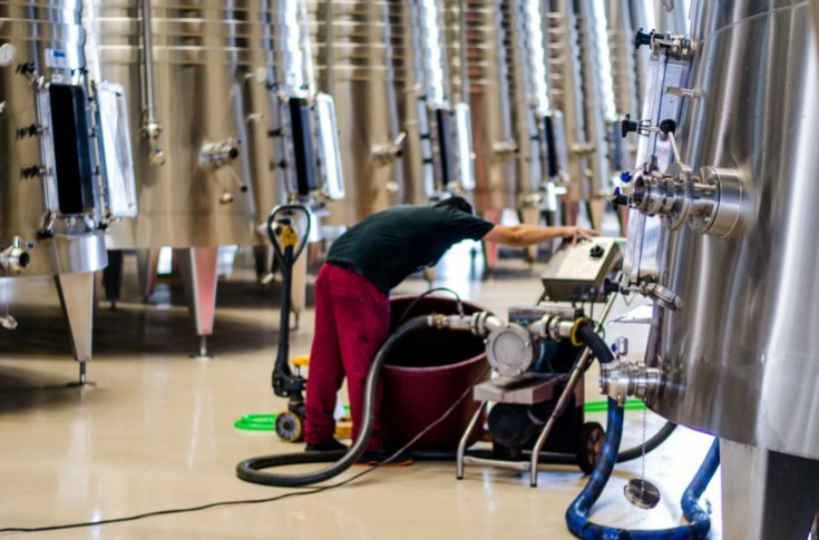 No yeast is neutral for wine