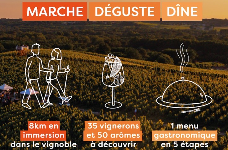 Accords randonnées vins de Sauternes