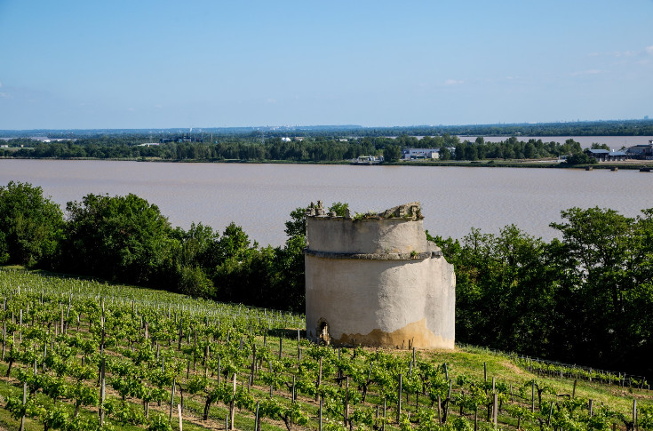 Les vignerons de Blaye attendent la validation européenne de l’AOC Blavia