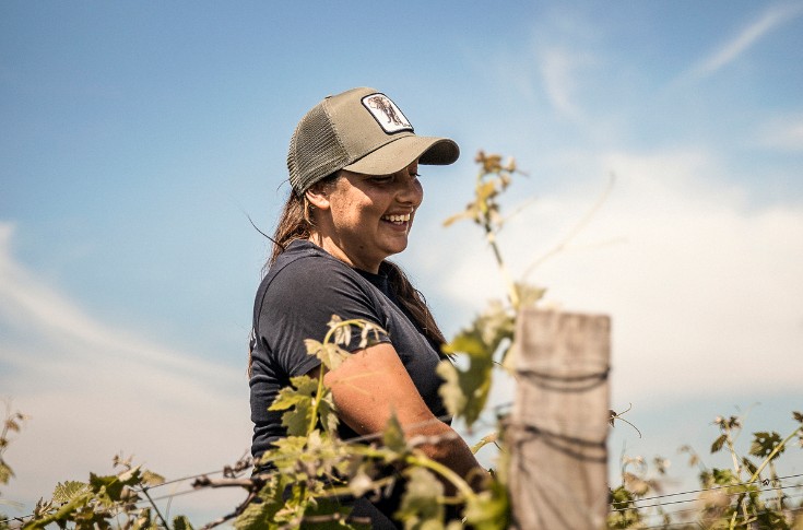 6 grands crus pour faire rêver avec les métiers de la vigne
