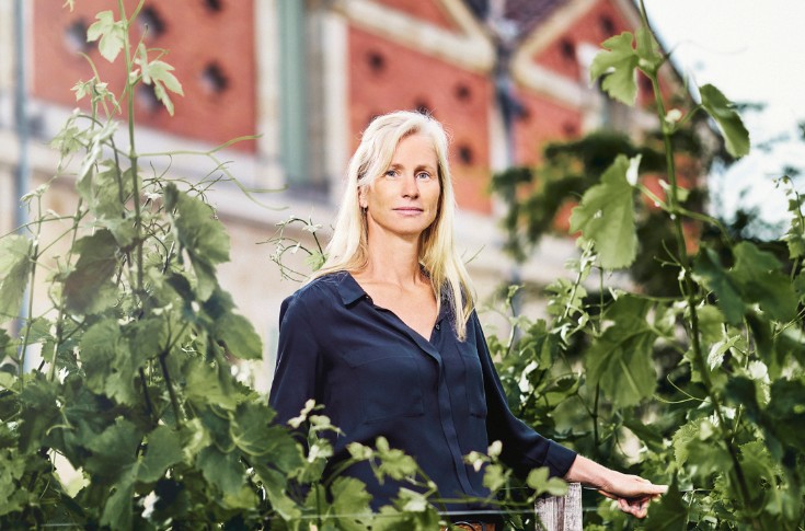 Comment le château Palmer va 