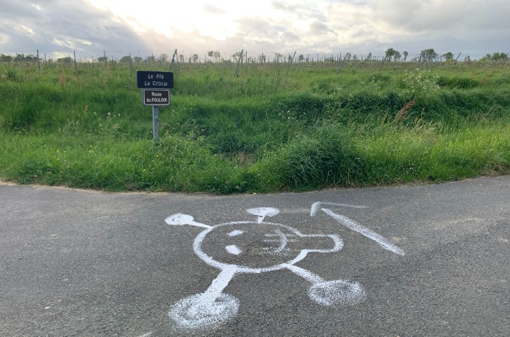 Des têtes de mort dans les vignes angevines