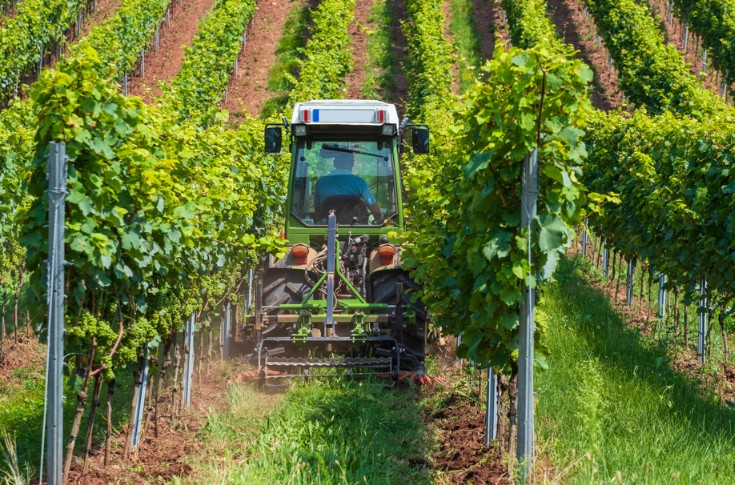 La consommation d’énergie mesurée de la vigne au chai