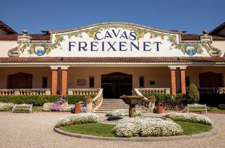 La sécheresse contraint le leader du cava à mettre au chômage 80% de ses effectifs