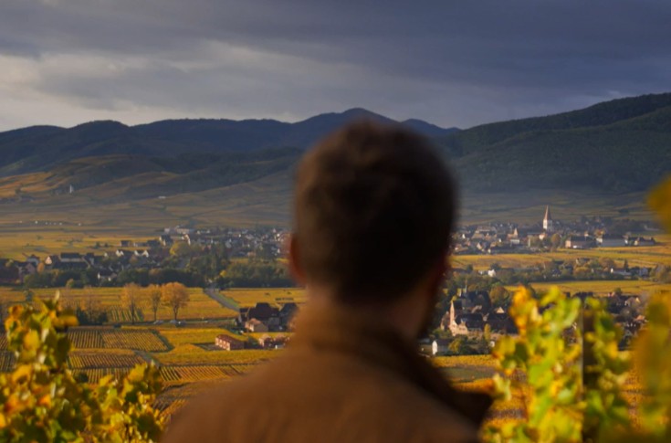 Un plan média sans précédent pour les vins d’Alsace