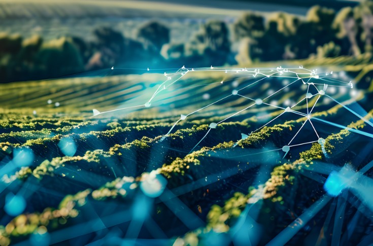 Quand l’intelligence artificielle rend service à la viticulture