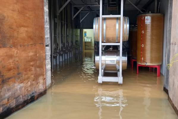 Lassitude vigneronne à Chablis après une deuxième crue