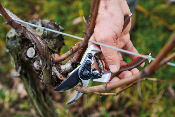 Felco lance un nouveau sécateur Elite