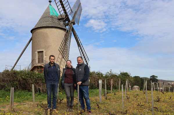 Pour ses cent ans, Moulin-à-Vent veut s'offrir des premiers crus