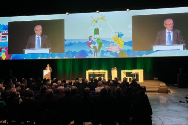 En 120 ans, les vignerons de Champagne ont 'réussi le tour de force inédit d’imposer une stricte régulation dans un monde libéral'