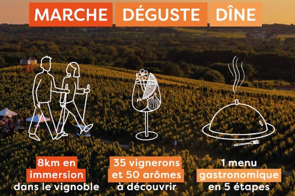 Accords randonnées vins de Sauternes