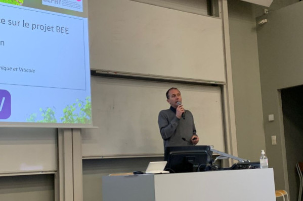 Le paillage en amidon de maïs à l’épreuve en Alsace