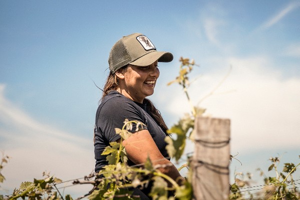6 grands crus pour faire rêver avec les métiers de la vigne