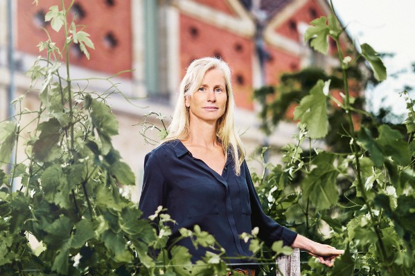 Comment le château Palmer va 'créer un écosystème nourricier' autour de son vignoble