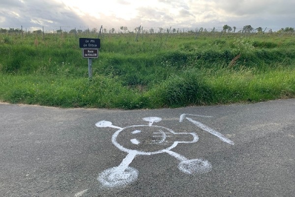 Des têtes de mort dans les vignes angevines