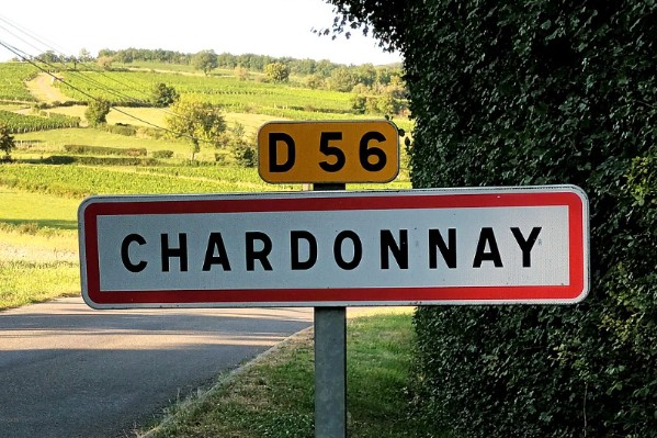 Le 10ème chardonnay day se prépare à... Chardonnay !