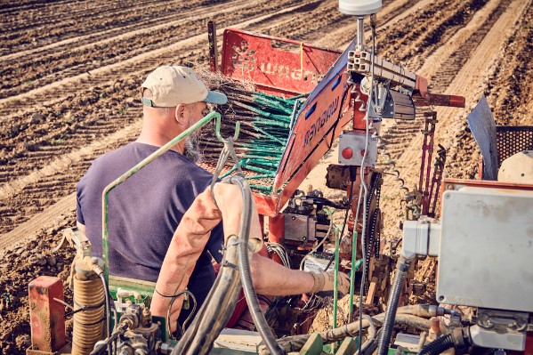 30 ha de cépages résistants d’un seul tenant