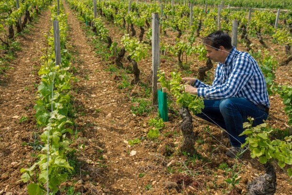 Plus besoin de recevoir un conseil stratégique pour se fournir en phytos