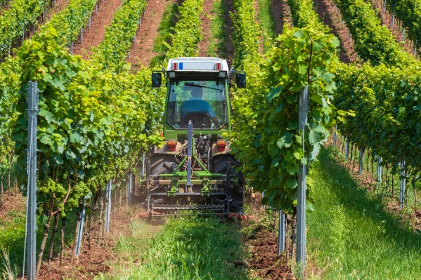 La consommation d’énergie mesurée de la vigne au chai