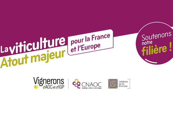 Vins AOC et IGP unis pour ne plus avoir d’eurodépités