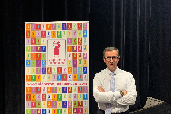 'La filière viticole a besoin d'un plan de prévention massif face aux aléas climatiques'