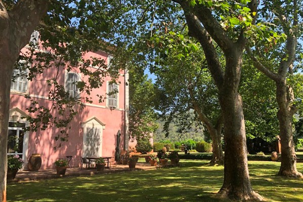 Pernod Ricard double à 500 ha son vignoble provençal