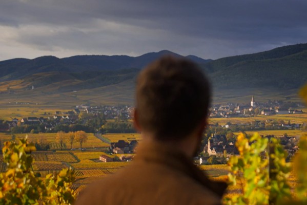Un plan média sans précédent pour les vins d’Alsace