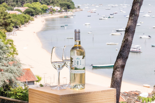 Le sauvignon N°1 de Dourthe se pare des couleurs locales du Cap Ferret