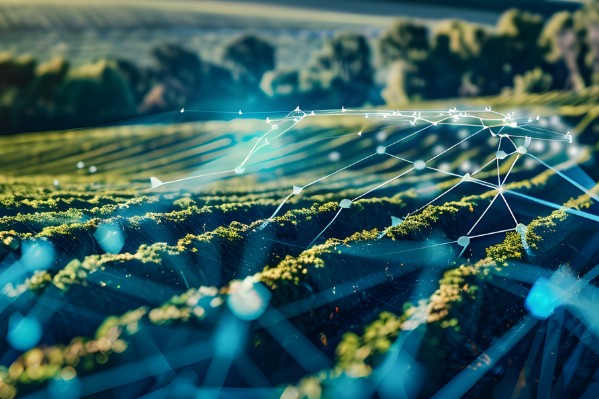 Quand l’intelligence artificielle rend service à la viticulture