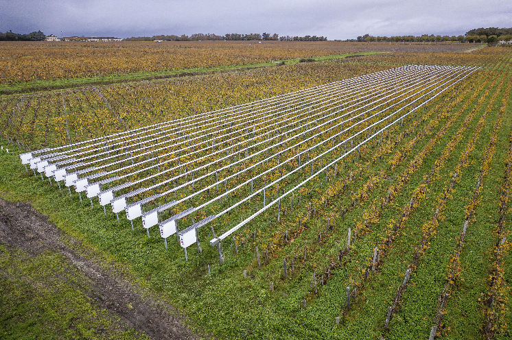 Un bon parapluie contre le mildiou dès 30 €/m de vignes