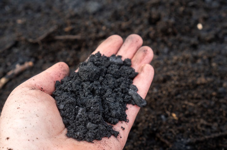 Le biochar amendement viticole prometteur