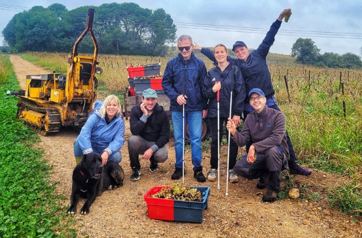 Une association pour le vin à l’aveugle : de la production à la dégustation