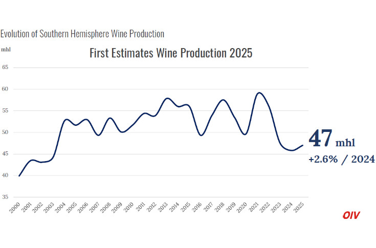La vendange 2025 stabilisée à 47 millions hl de vin dans l’Hémisphère Sud