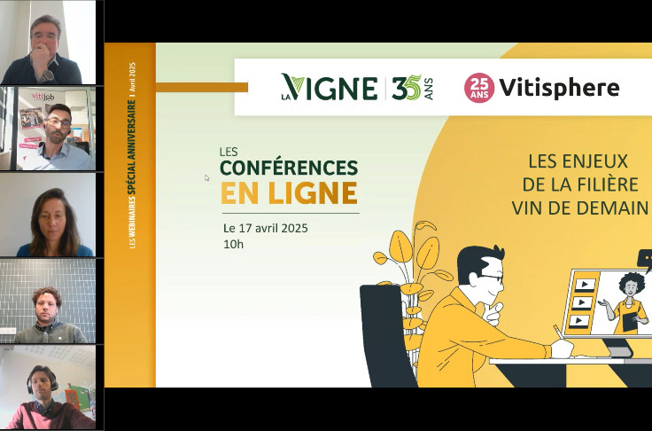 Stratégie de marque, innovation, différenciation, les clés d'avenir pour les vins français à l'export ?