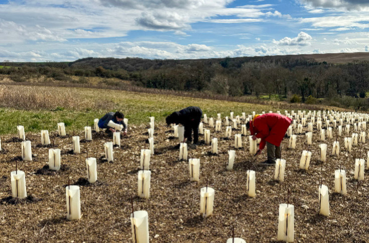 La lutte sans répit des vignes non-AOC de Champagne en conflits judiciaires et de voisinage
