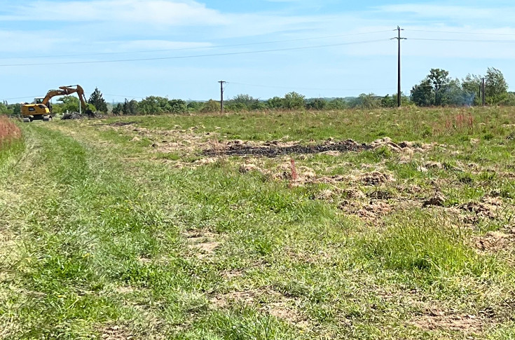 Sauvé de 5 ha de vignes en friche depuis 6 ans !