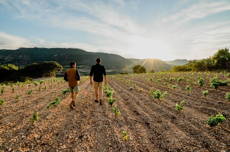 Ce qu'il y a derrière les vins 