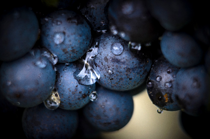 Le vin naturel est-il l'une des grandes réussites du vin français des 25 dernières années ?
